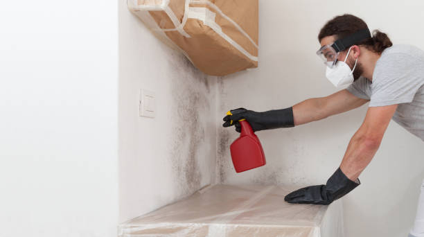 Professional Crawl Space Mold Remediation technician working in Melrose Park, NY